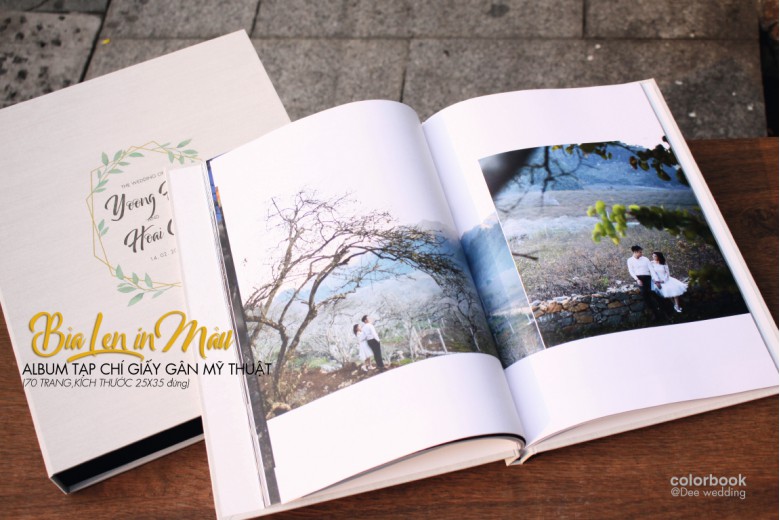 Bộ sưu tập PHOTOBOOK TẠP CHÍ NGHỆ THUẬT_Giấy Art Gân Ne _Bìa Len in màu